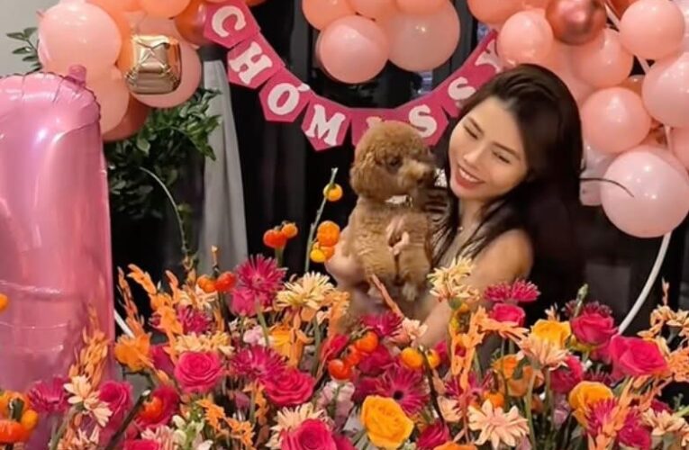 Tranh cãi chuyện cô gái Hà Nội chi 50 triệu đồng tổ chức sinh nhật cho chó