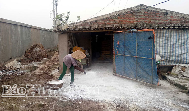 Xã Đông Thái Ninh: Khẩn trương khoanh vùng, khống chế bệnh dịch tả lợn châu Phi