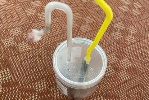 Phát hiện nhóm đối tượng sử dụng ma túy tại phường Sơn Nam, Hưng Yên