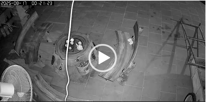 Xót xa: Xuất hiện góc cam khác ghi lại hình ảnh anh chồng g:ục n:gã ở Phú Thọ