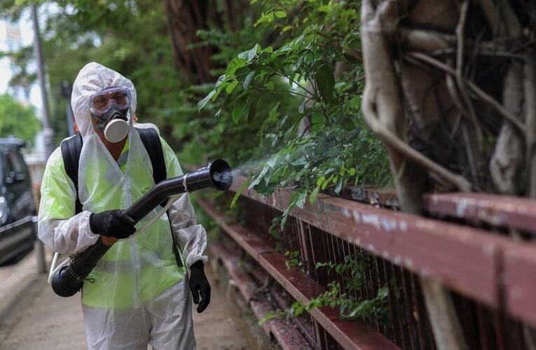 Bệnh chikungunya đang lây lan toàn cầu