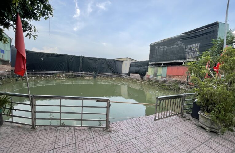 Người dân xót xa kể lại giây phút phát hiện hai anh em ruột tử vong dưới giếng ở Hà Nội: “Mọi hôm giếng đông người lắm, hôm ấy lại vắng…”