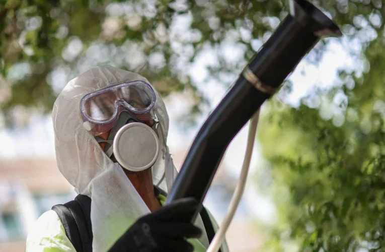 Việt Nam tồn tại nguy cơ bệnh Chikungunya xâm nhập