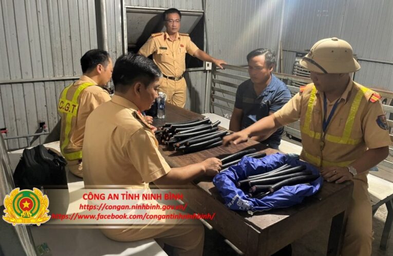 Phát hiện, bắt giữ đối tượng trộm cắp tài sản trong quá trình tuần tra, kiểm soát, bảo đảm TTATGT