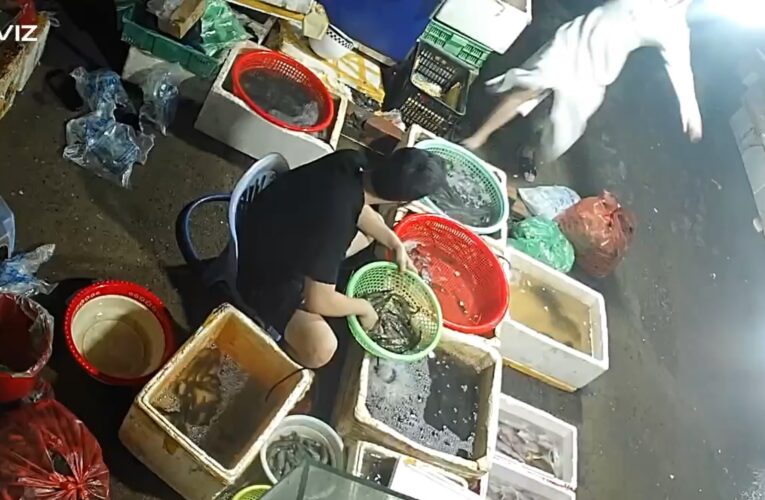 Video Chợ Bao Bì – Mỹ Hào