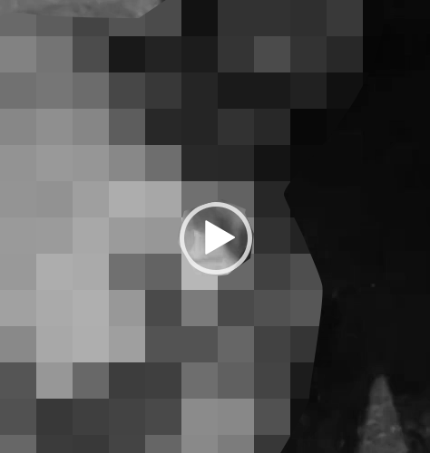 VI:DEO 0CHE: Cân nhắc trước khi xem