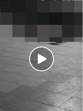 VI:DEO 0CHE: Cân nhắc trước khi xem