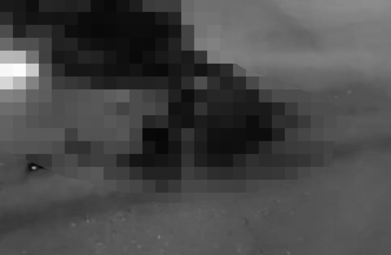 ẢNH 0CHE: Cân nhắc trước khi xem