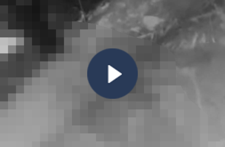 VI:DE0 0CHE: Cân nhắc trước khi xem