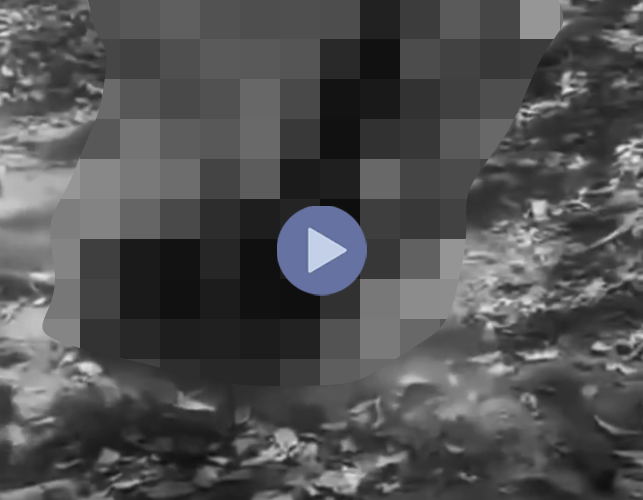 VI:DEO 0CHE: Cân nhắc trước khi xem