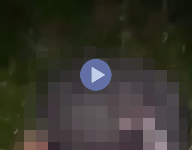 VI:DEO 0CHE: Cân nhắc trước khi xem