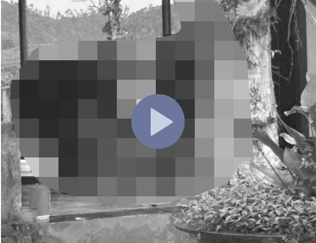 VI:DEO 0CHE: Cân nhắc trước khi xem