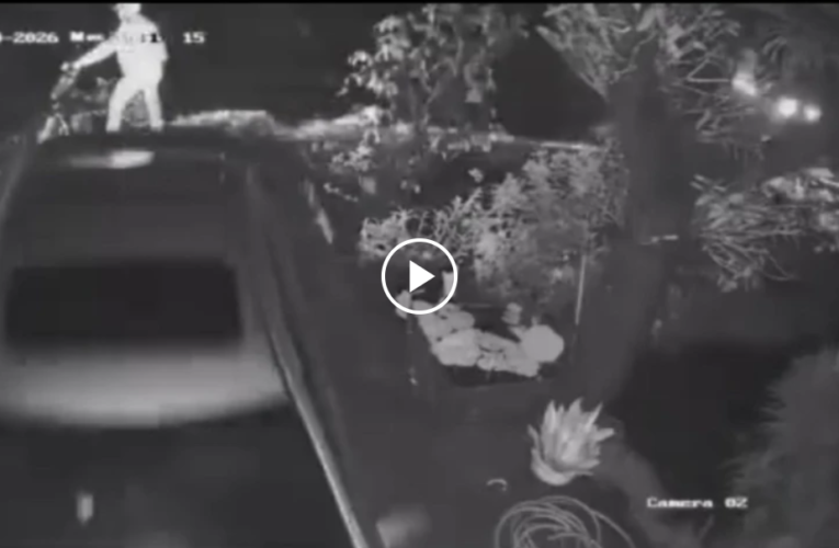 VI:DEO 0CHE: Cân nhắc trước khi xem