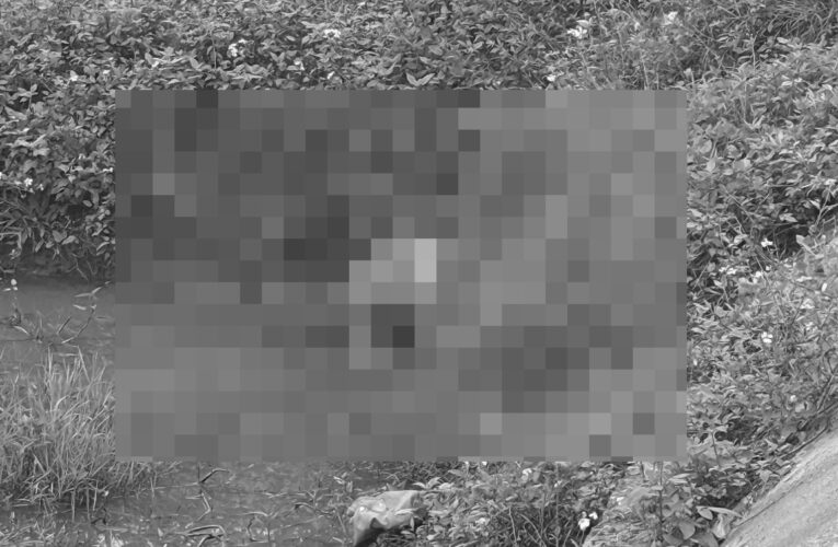 ẢNH 0CHE: Cân nhắc trước khi xem