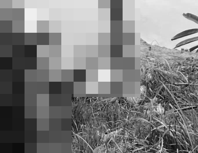 ẢNH 0CHE: Cân nhắc trước khi xem