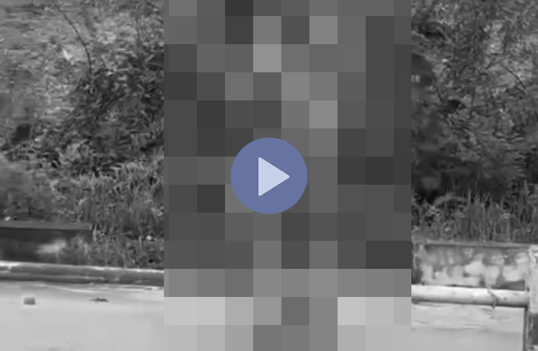 VI:DEO 0CHE: Cân nhắc trước khi xem