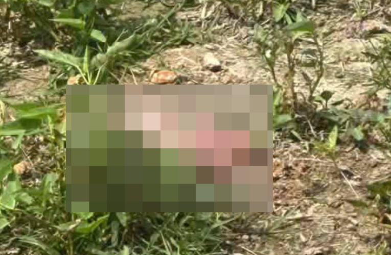 ẢNH 0CHE: Cân nhắc trước khi xem