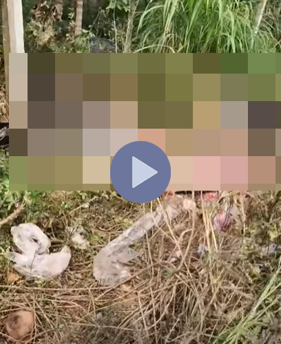 VI:DEO 0CHE: Cân nhắc trước khi xem