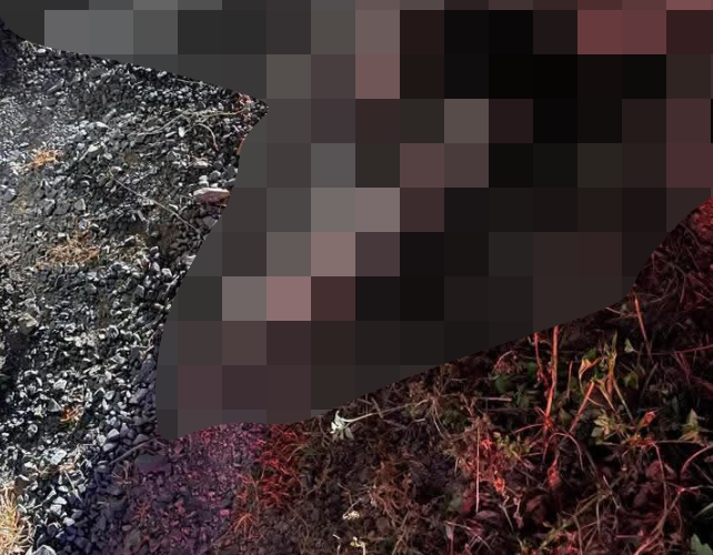 VI:DEO 0CHE: Cân nhắc trước khi xem