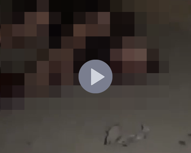 VI:DEO 0CHE: Cân nhắc trước khi xem