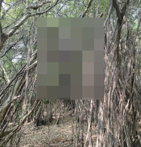 ẢNH 0CHE: Cân nhắc trước khi xem