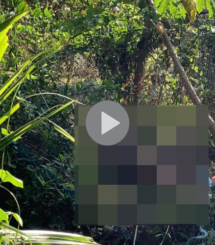 VI:DEO 0CHE: Cân nhắc trước khi xem