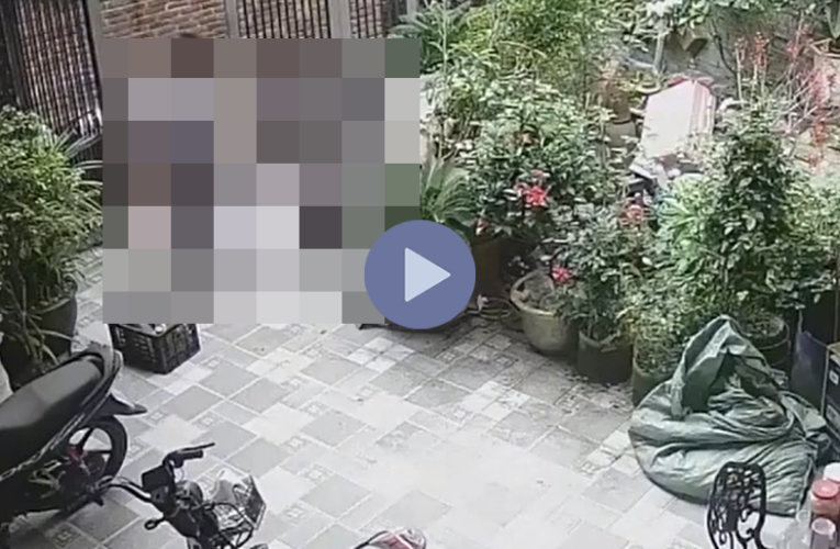 VI:DEO 0CHE: Cân nhắc trước khi xem