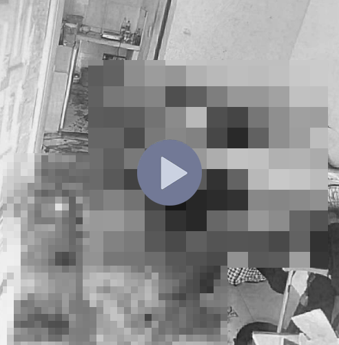 VI:DEO 0CHE: Cân nhắc trước khi xem