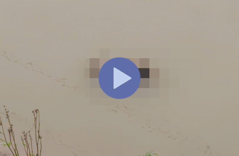 VI:DEO 0CHE: Cân nhắc trước khi xem