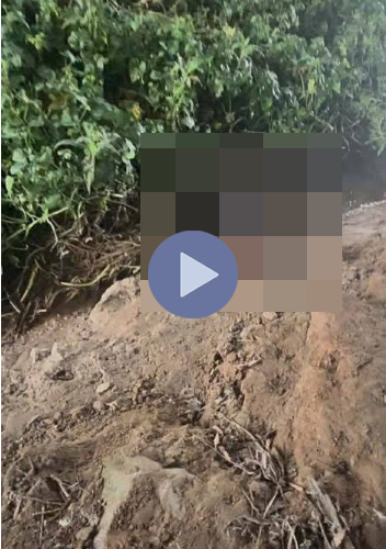 VI:DEO 0CHE: Cân nhắc trước khi xem